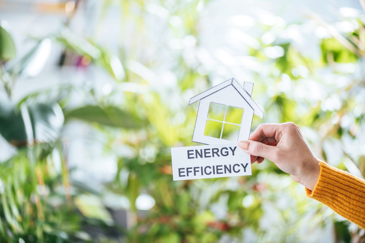 Energy Efficiency